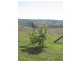 31834 Bruce Highway, Booyal QLD 4671