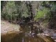 31834 Bruce Highway, Booyal QLD 4671