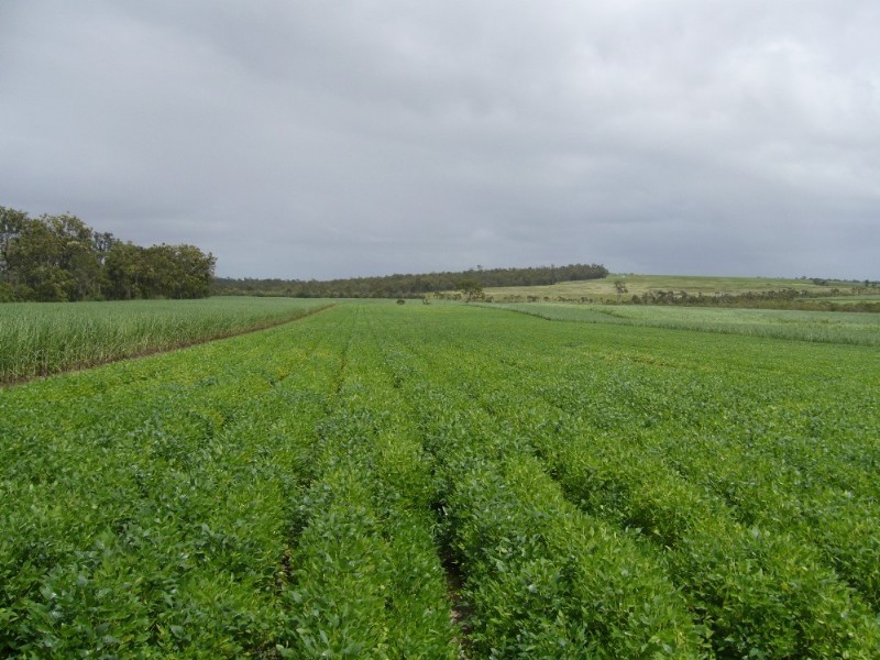 Lot 21/1 Greens Road, Childers QLD 4660