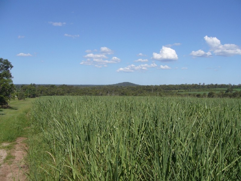 Lot 21/1 Greens Road, Childers QLD 4660