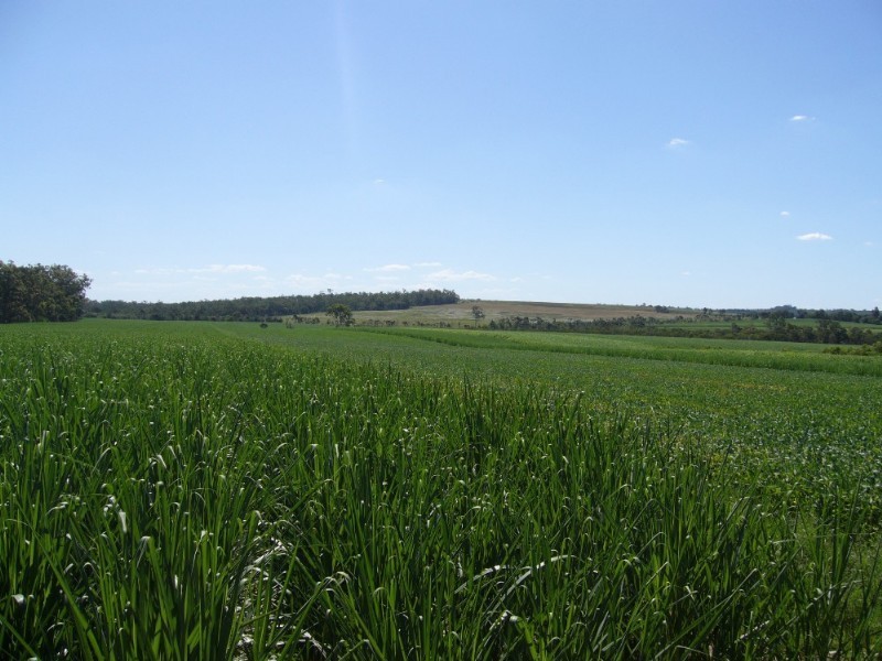 Lot 21/1 Greens Road, Childers QLD 4660