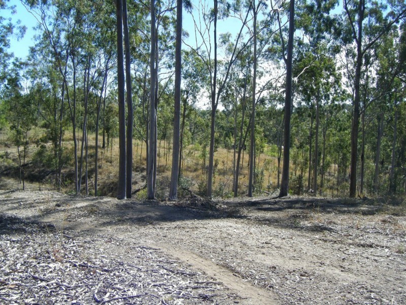 1195 Gin Gin – Mount Perry Road, Moolboolaman QLD 4671