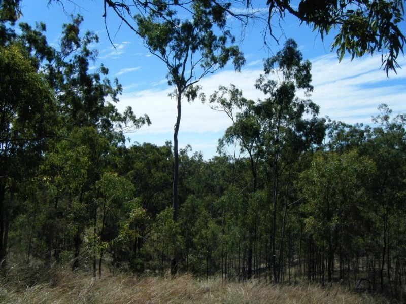 1195 Gin Gin – Mount Perry Road, Moolboolaman QLD 4671