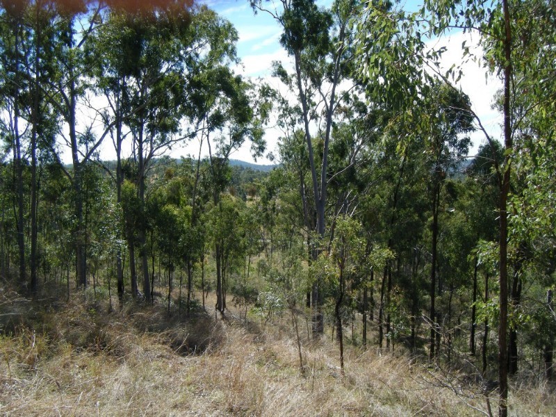 1195 Gin Gin – Mount Perry Road, Moolboolaman QLD 4671