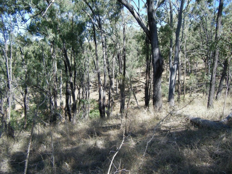 1195 Gin Gin – Mount Perry Road, Moolboolaman QLD 4671