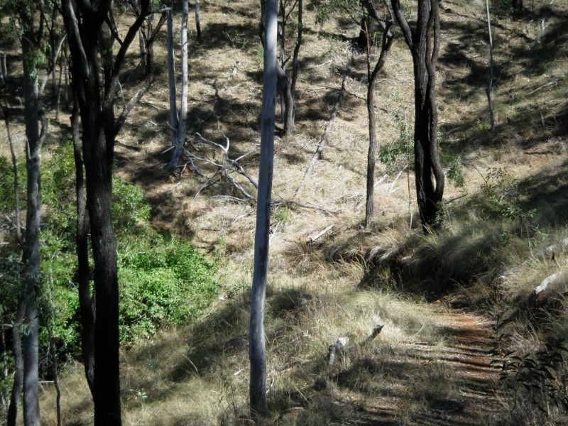 1195 Gin Gin – Mount Perry Road, Moolboolaman QLD 4671