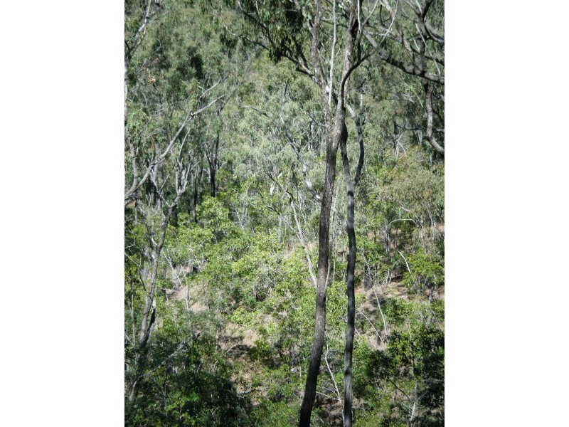 1195 Gin Gin – Mount Perry Road, Moolboolaman QLD 4671