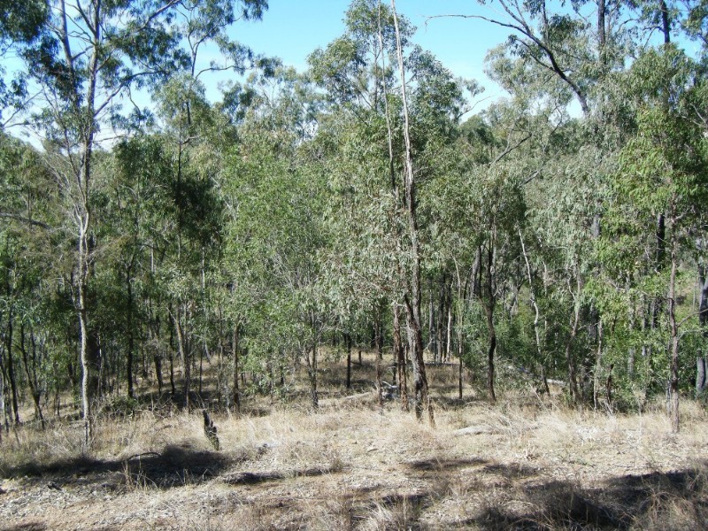 1195 Gin Gin – Mount Perry Road, Moolboolaman QLD 4671