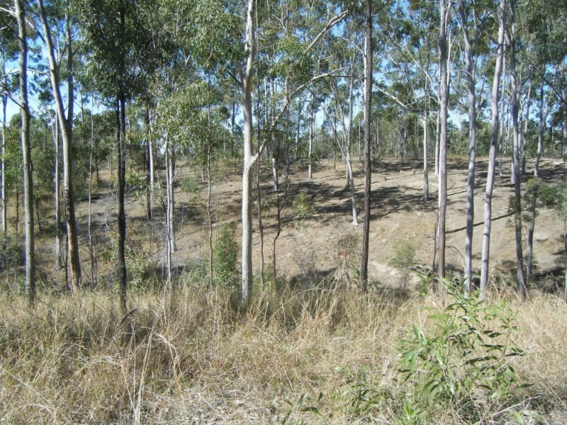 1195 Gin Gin – Mount Perry Road, Moolboolaman QLD 4671