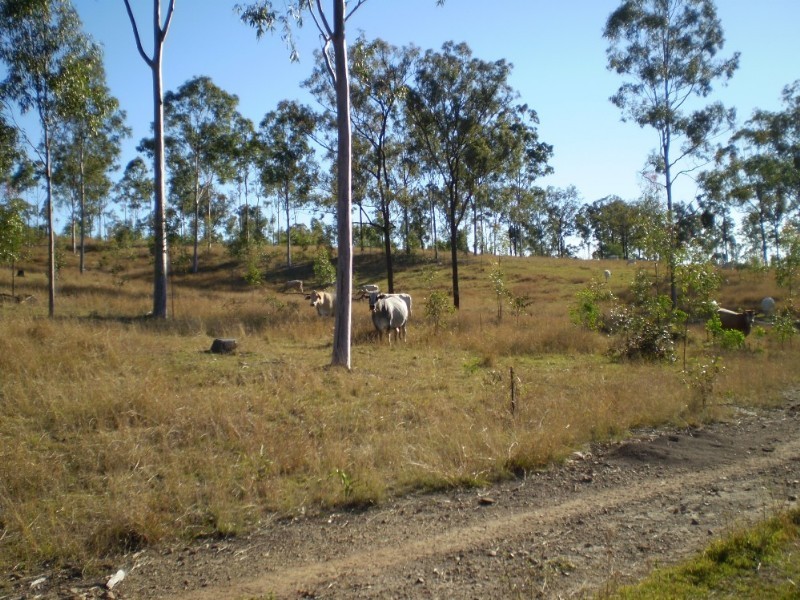 Gin Gin QLD 4671