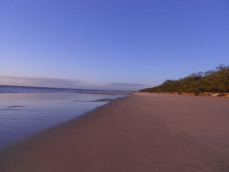 13 Fern Tree Drive, Coonarr QLD 4670