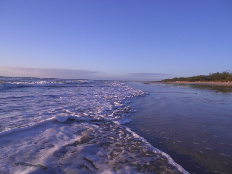 13 Fern Tree Drive, Coonarr QLD 4670