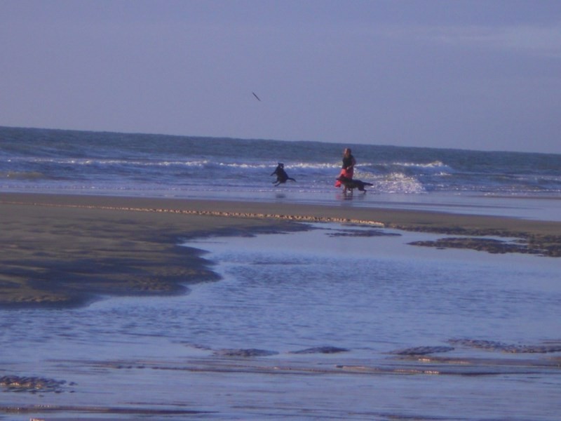 13 Fern Tree Drive, Coonarr QLD 4670