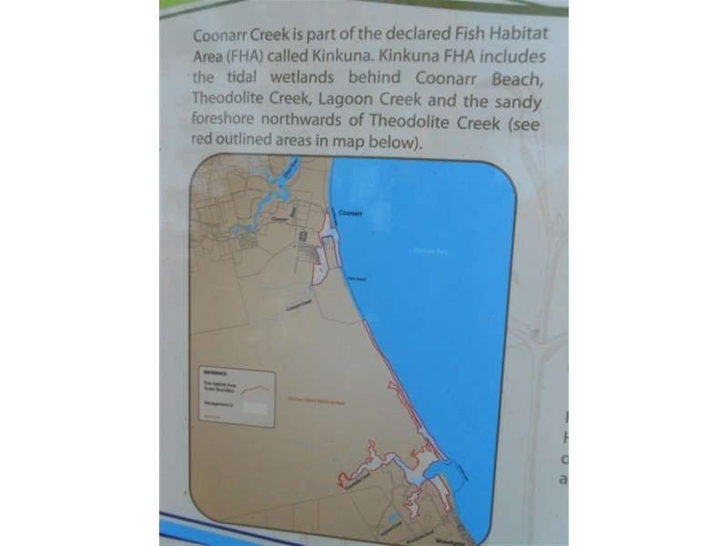 13 Fern Tree Drive, Coonarr QLD 4670