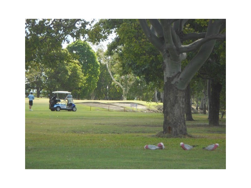 6 Rosewood Place, Bundaberg North QLD 4670