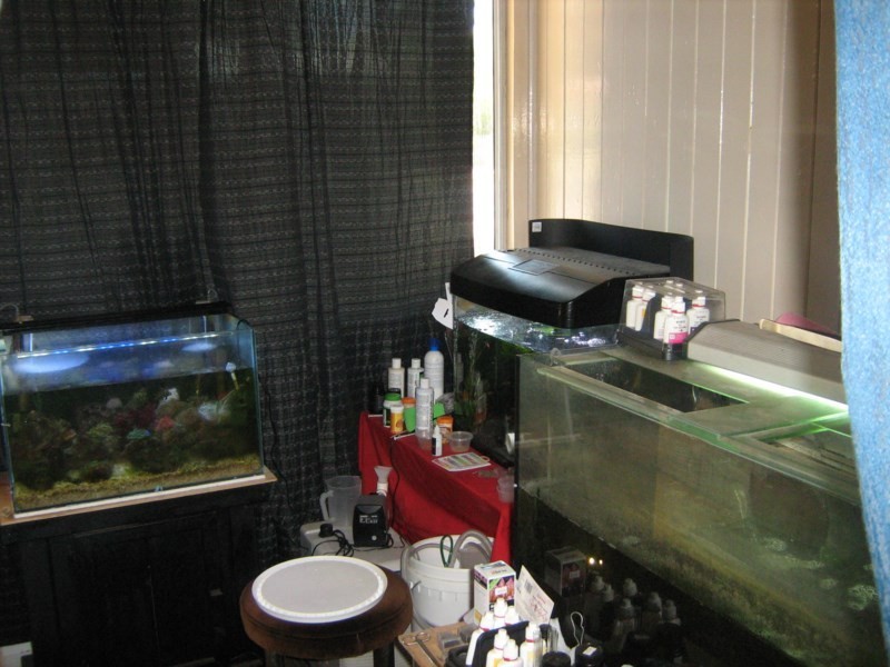 32B Walker Street, Walkervale QLD 4670