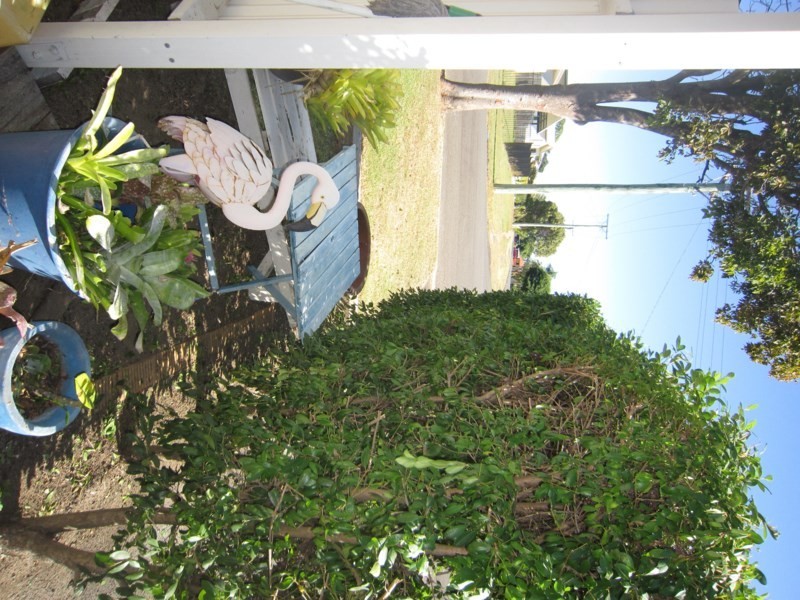 26 Dunkirk Street, Svensson Heights QLD 4670