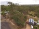 4 Premier Terrace, South Bingera QLD 4670