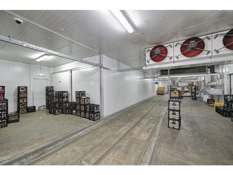 41 Production Street, Svensson Heights QLD 4670