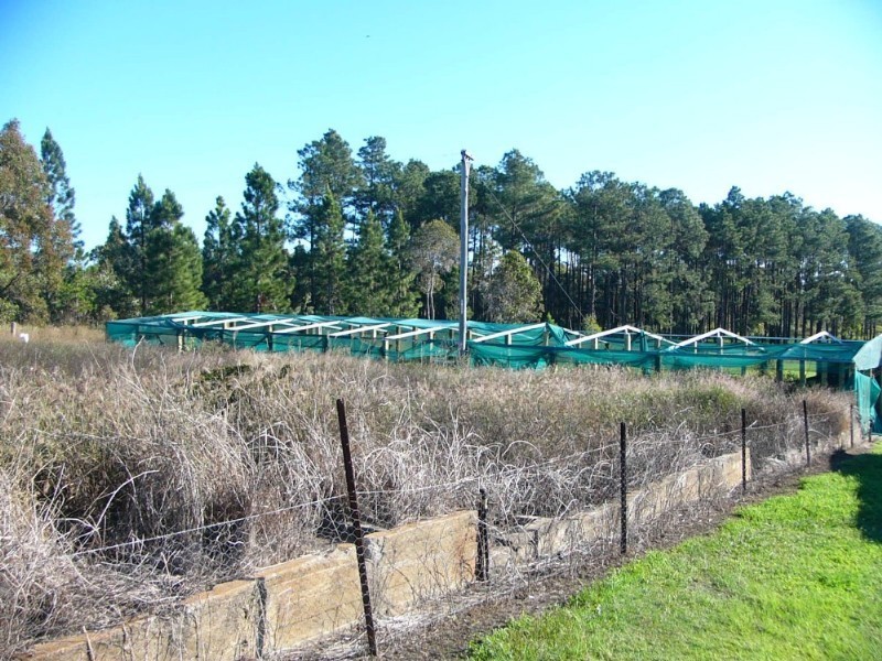 1749 Moorlands Road, Bundaberg QLD 4670