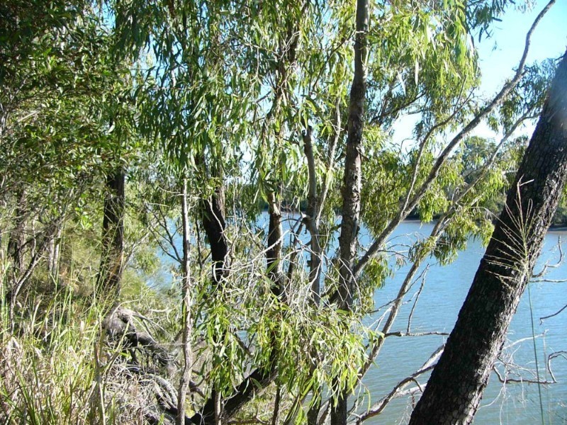 1749 Moorlands Road, Bundaberg QLD 4670