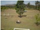 Gin Gin QLD 4671