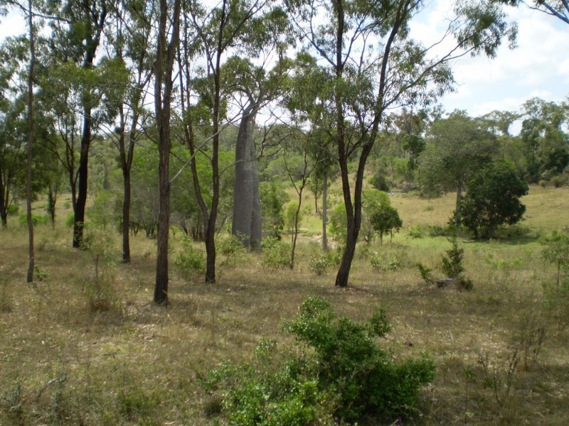 Coringa QLD 4621