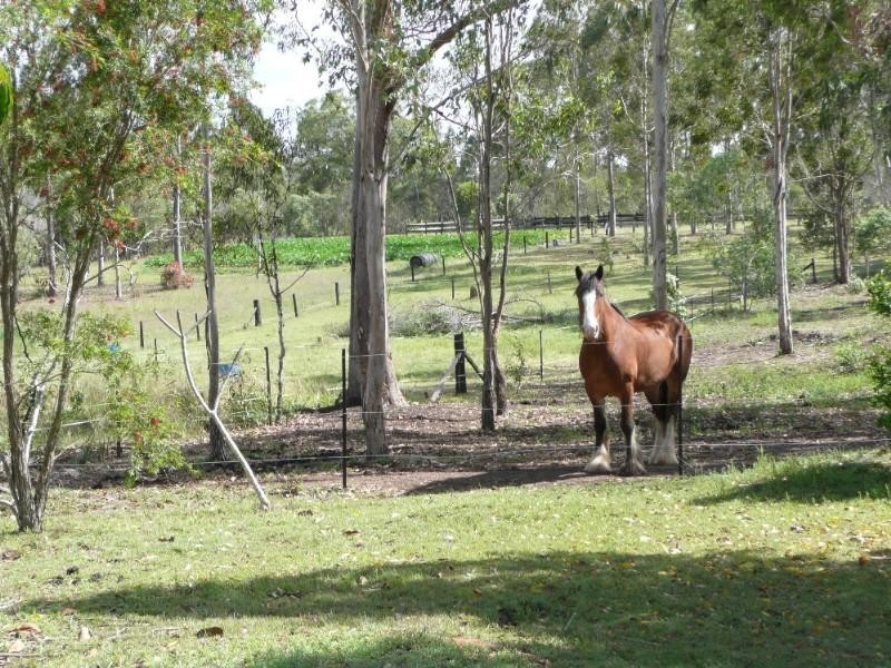177 Lenihans Road, Bundaberg QLD 4670