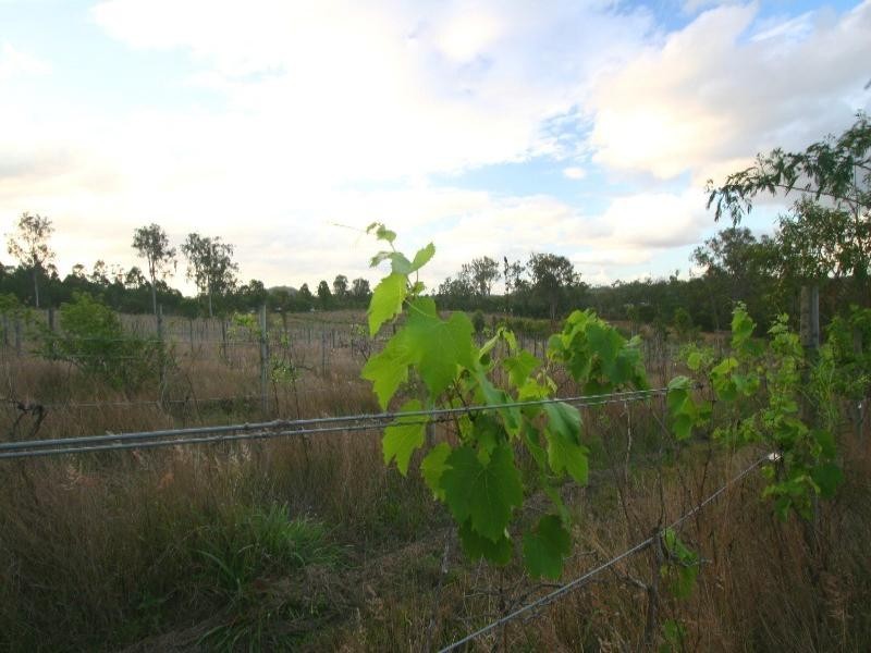 44 Settlement Road, Gin Gin QLD 4671