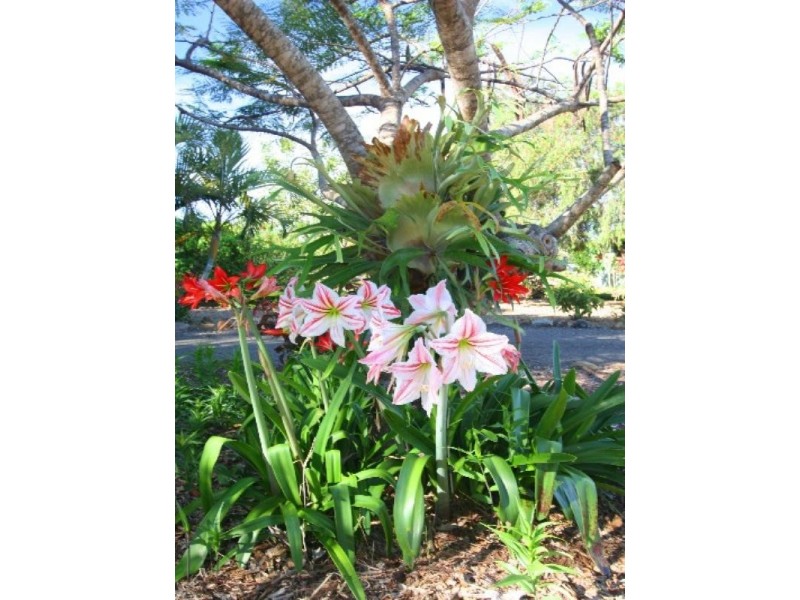 116 Kirbys Road, Bundaberg QLD 4670