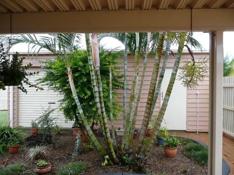 13 Maike Street, Bundaberg QLD 4670