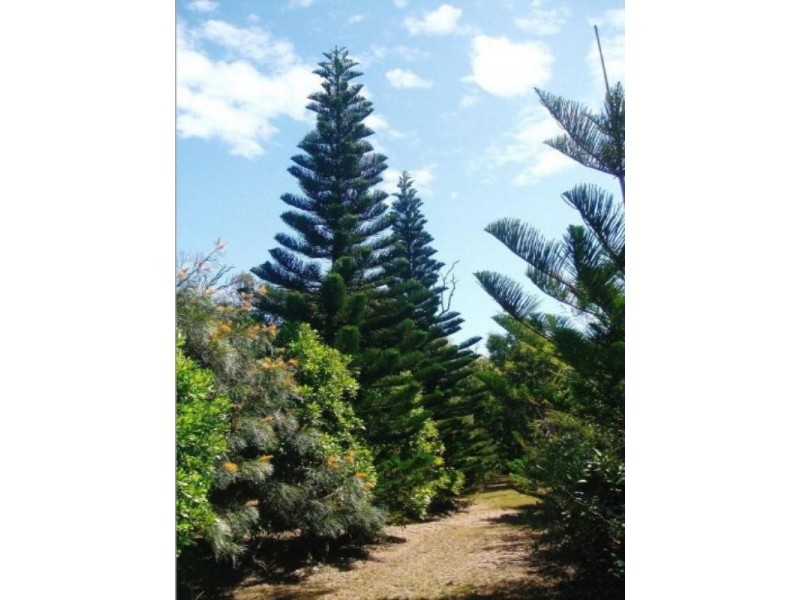 282 Sylvan Drive, Moore Park Beach QLD 4670