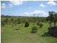 Bundaberg QLD 4670