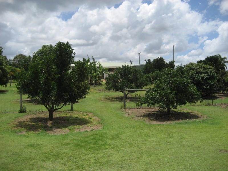 39 Mark Road, Bundaberg QLD 4670