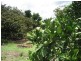 39 Mark Road, Bundaberg QLD 4670