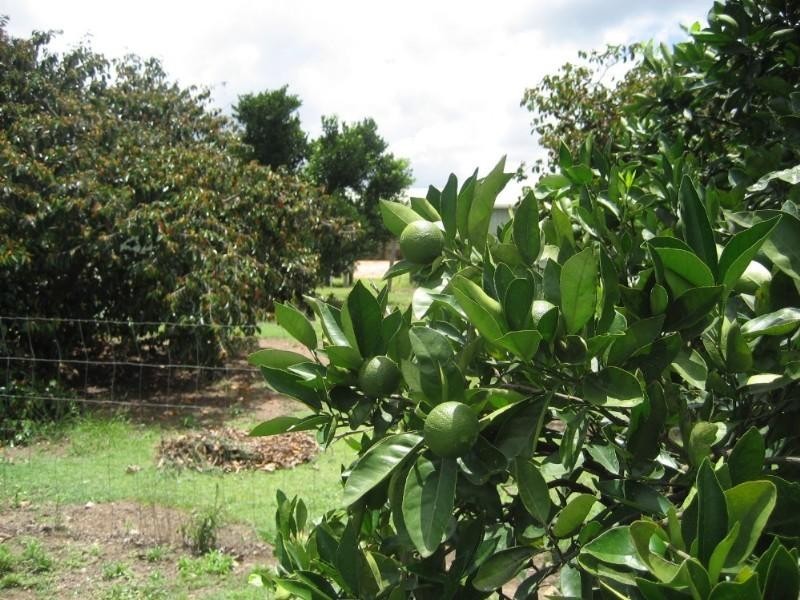 39 Mark Road, Bundaberg QLD 4670