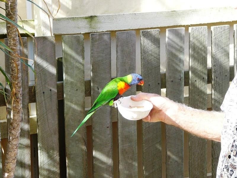 11 Sea Esplande, Elliott Heads QLD 4670