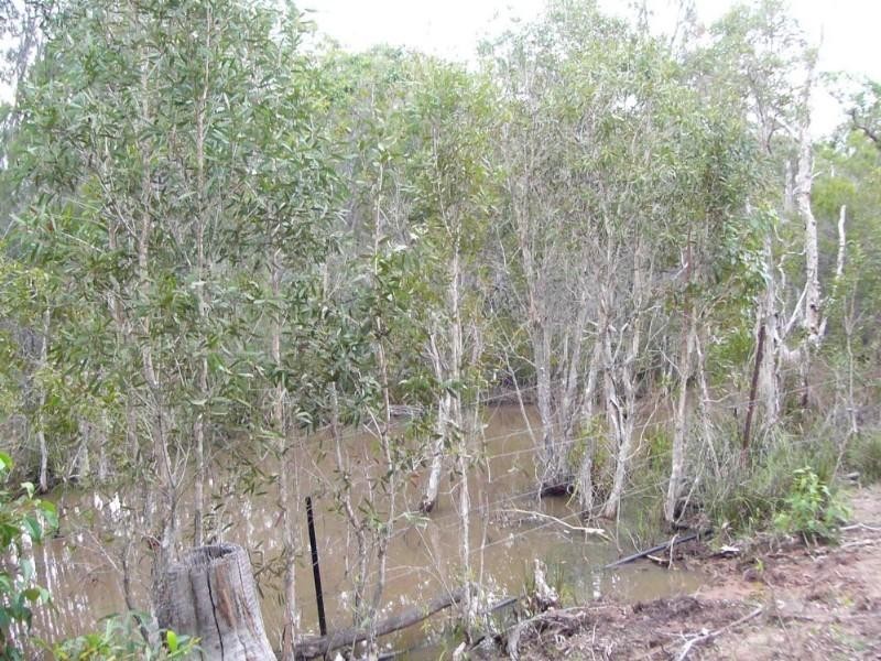 15 Kingston Drive, Cordalba QLD 4660