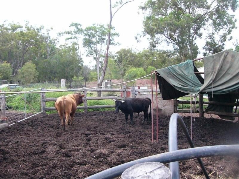 15 Kingston Drive, Cordalba QLD 4660