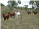 Lot 23 Hairs Road, Bungadoo QLD 4671