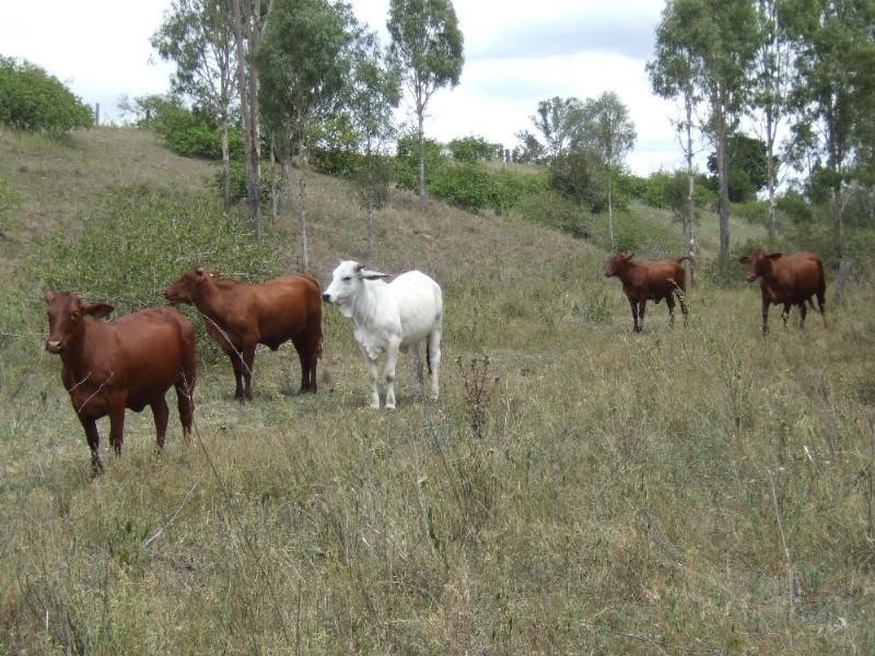 Lot 23 Hairs Road, Bungadoo QLD 4671