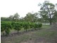 Pine Creek QLD 4670