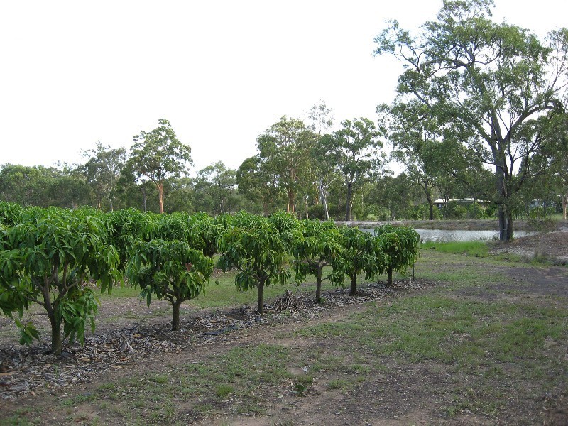 Pine Creek QLD 4670