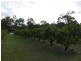 Pine Creek QLD 4670