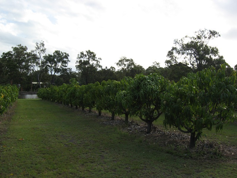 Pine Creek QLD 4670
