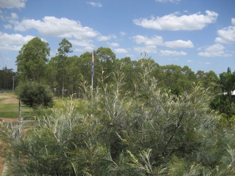 60 Maiseys Road, Yandaran QLD 4673