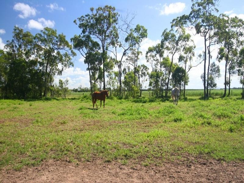 Bundaberg QLD 4670