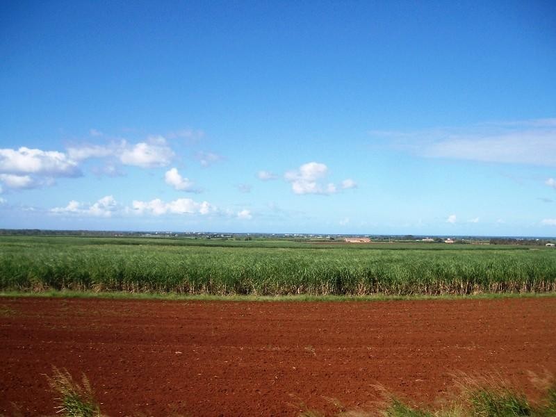 Qunaba QLD 4670