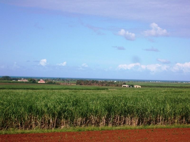 Qunaba QLD 4670