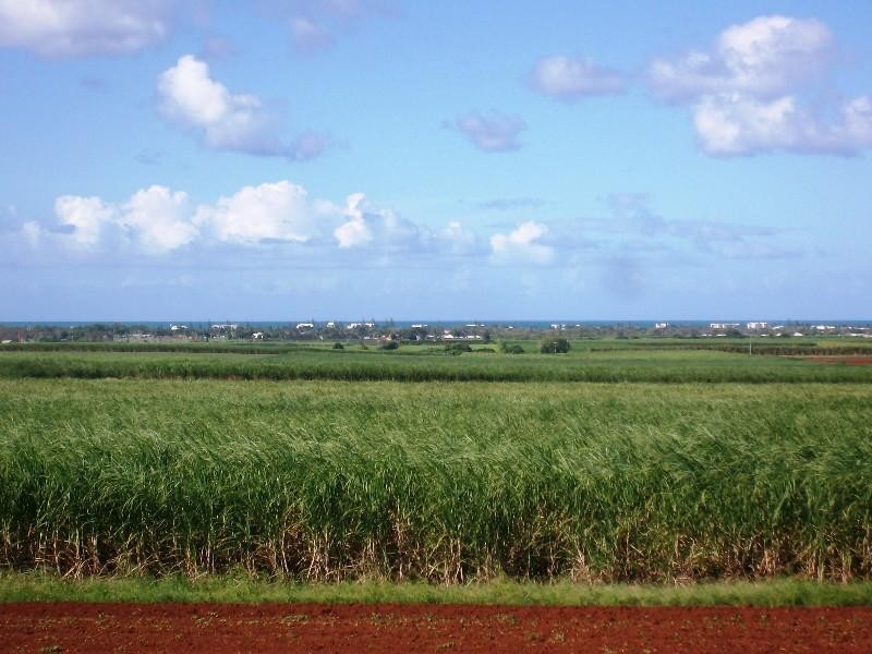 Qunaba QLD 4670